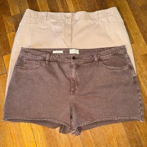 Ladies size 24 Shorts NEW WO TAGS